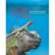 One of a Kind: The Unique World of Island Animals