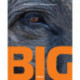 Big: A Photographic Album of the World's Largest Animals