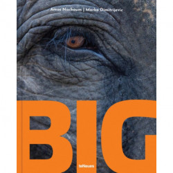 Big: A Photographic Album of the World's Largest Animals