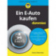 Ein E-Auto kaufen fur Dummies
