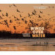 Wings Over Water: The Vital Magic of North America's Prairie Wetlands