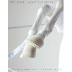 Not What I Meant But Anyway