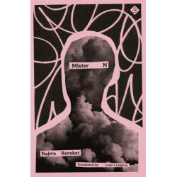 Mister N