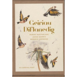 Geiriau Diflanedig (20 Cardiau Post)