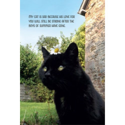 My Sad Cat Notebook