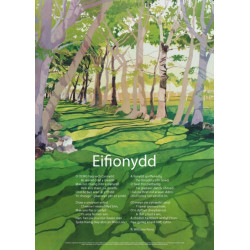 Eifionydd