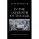 In the Labyrinth of the KGB: Ukraine's Intelligentsia in the 1960s–1970s