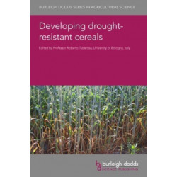 Developing Drought-Resistant Cereals
