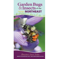 Garden Bugs & Insects of the Northeast: Identify Pollinators, Pests, and Other Garden Visitors
