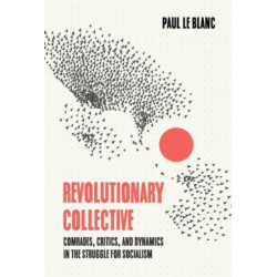 Revolutionary Collective: Comrades, Critics, and Dynamics in the Struggle for Socialism