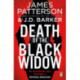 Death of the Black Widow: An unsolvable case becomes an obsession