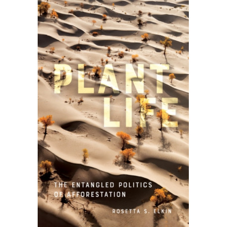 Plant Life: The Entangled Politics of Afforestation