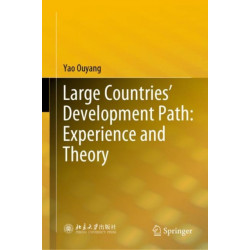 Large Countries’ Development Path: Experience and Theory