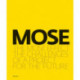 The MOSE Effect: The Challenges of a Project for the Future
