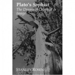 Plato`s Sophist