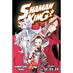 SHAMAN KING Omnibus 8 (Vol. 22-24)