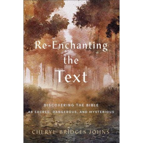 Re–enchanting the Text – Discovering the Bible as Sacred, Dangerous, and Mysterious: Discovering the Bible as Sacred, Dangerous, and Mysterious
