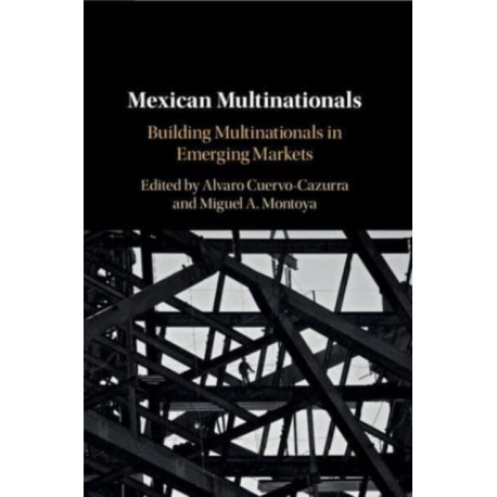 Mexican Multinationals: Building Multinationals in Emerging Markets