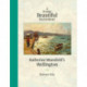 A Strange Beautiful Excitement: Katherine Mansfield's Wellington 1888-1903