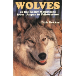 Wolves of the Rocky Mountains: from Jasper to Yellowstone