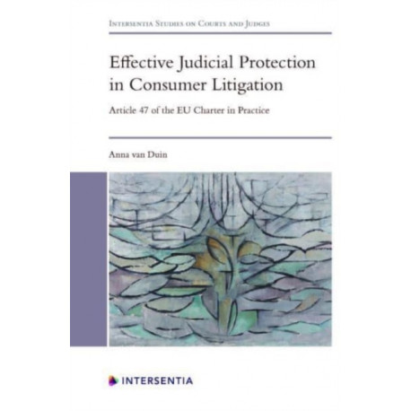 Effective Judicial Protection in Consumer Litigation: Article 47 of the EU Charter in Practice