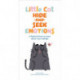 Little Cat Hide-and-Seek Emotions: A Playful Primer to Learn about Your Feelings