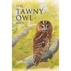 The Tawny Owl