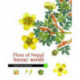 Flora of Nepal: Volume 3, Magnoliaceae to Rosaceae