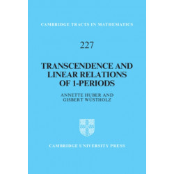 Transcendence and Linear Relations of 1-Periods