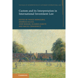 The Theory, Practice, and Interpretation of Customary International Law