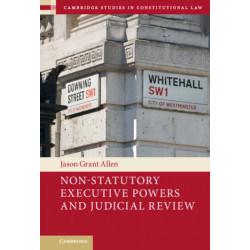 Non-Statutory Executive Powers and Judicial Review
