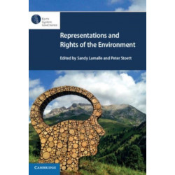 Representations and Rights of the Environment