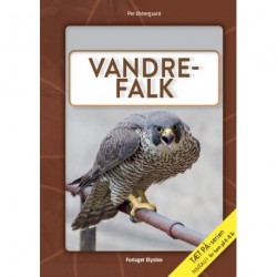 Vandre-falk: Tæt på
