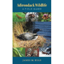 Adirondack Wildlife