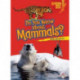 Do You Know about Mammals?
