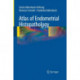 Atlas of Endometrial Histopathology