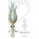 Kraken: The Curious, Exciting, and Slightly Disturbing Science of Squid