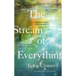 The Stream of Everything