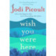 Wish You Were Here: A completely gripping, unputdownable novel from the bestselling author of My Sister's Keeper