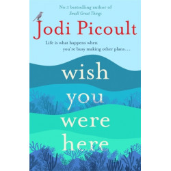 Wish You Were Here: A completely gripping, unputdownable novel from the bestselling author of My Sister's Keeper