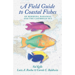 A Field Guide to Coastal Fishes of Bermuda, Bahamas, and the Caribbean Sea