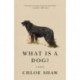What Is A Dog?: A Memoir