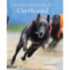 Training and Racing the Greyhound