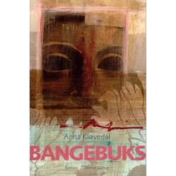 Bangebuks: roman