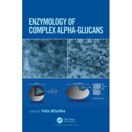 Enzymology of Complex Alpha-Glucans