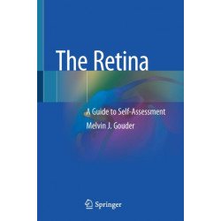 The Retina: A Guide to Self-Assessment