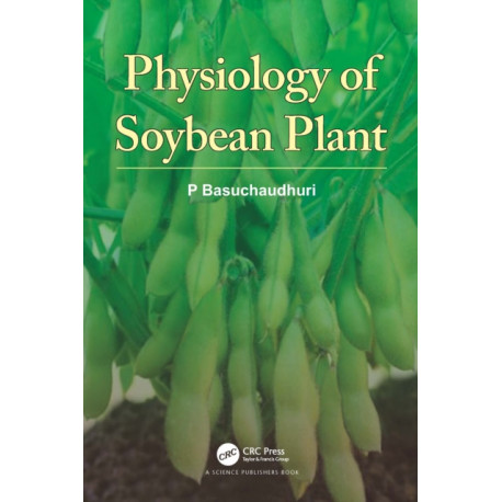 Physiology of Soybean Plant