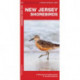 New Jersey Shorebirds: A Folding Guide to Familiar Species