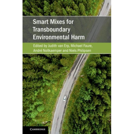 Smart Mixes for Transboundary Environmental Harm