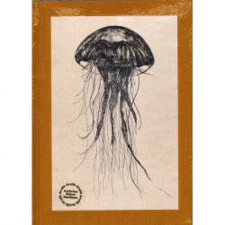 Grafik 1998 - 2022 (engelsk)